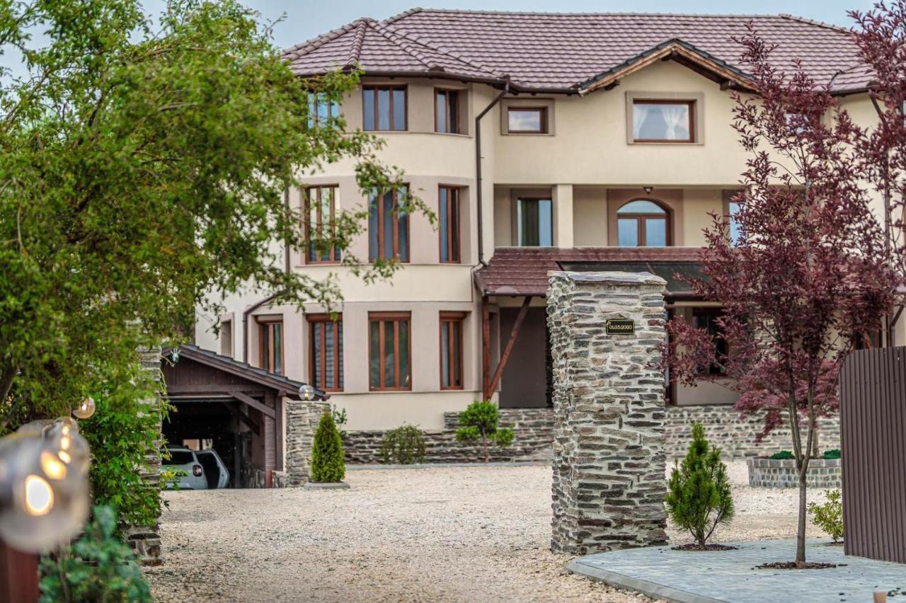 Transilvania Mansion Brasov Luaran gambar